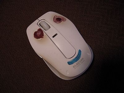 e0108126_2236168.jpg