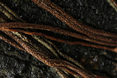 d0042827_2021015.jpg