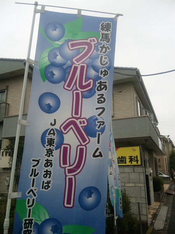 e0200529_23461684.jpg