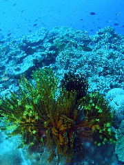 b0100730_21273369.jpg