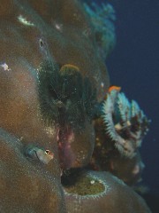 b0100730_2127823.jpg