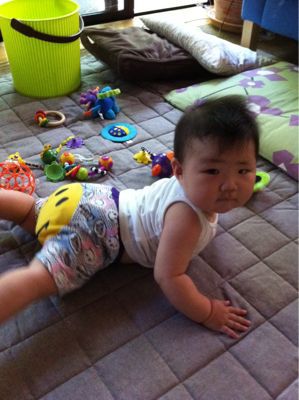 娘っ子記録9ヶ月続編_b0159731_14153744.jpg