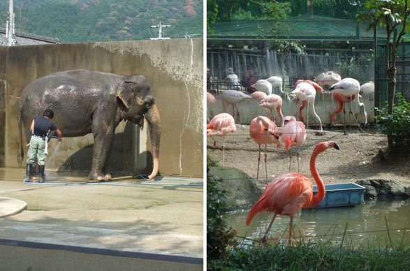 動物園_c0202833_074560.jpg