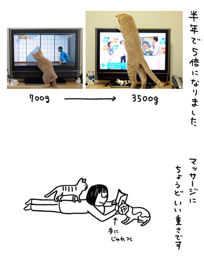 「biwamap」の坂木浩子さん登場!_c0039735_205475.jpg