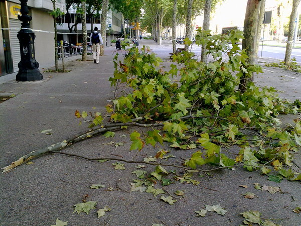 暴風雨の後_e0145739_3511945.jpg