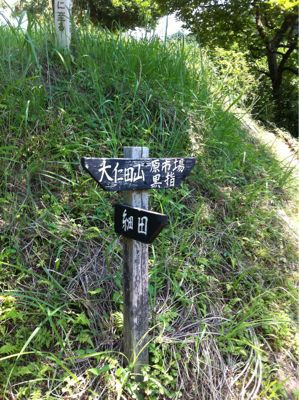 癒しの山へ…フィナーレ!になるのかなぁ…?(しろよ!)_b0136045_20264865.jpg