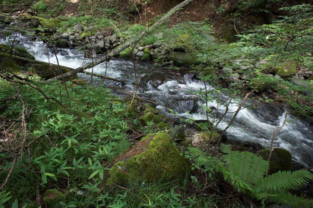 c0035245_18573668.jpg