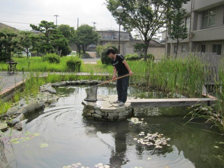 ヘドロとアオミドロ なつかしい未来への道