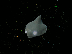 e0005548_23413786.gif