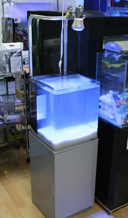海道システム登場 リクガメも入荷しました ビーボックスアクアリウム 松戸店 用品売場 担当ブログ 海道システム登場 リクガメも入荷しました ビーボックスアクアリウム 松戸店 用品売場 担当ブログ