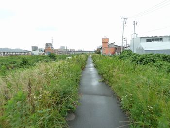 松島へサイクリング!GO!_e0140354_191335100.jpg