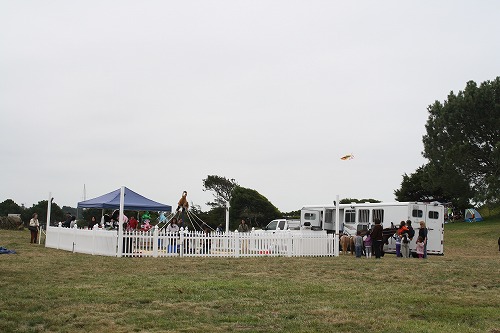 Berkeley Kite Festival 1_d0088855_6461724.jpg