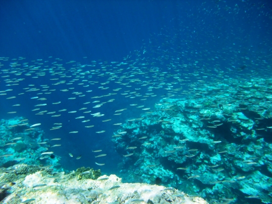 f0205857_12301530.jpg