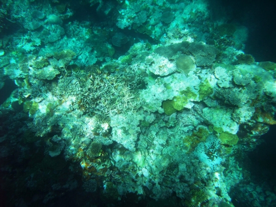 f0205857_12303945.jpg