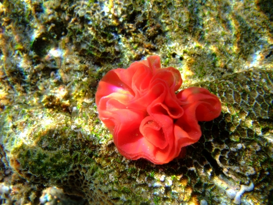 f0205857_12524849.jpg