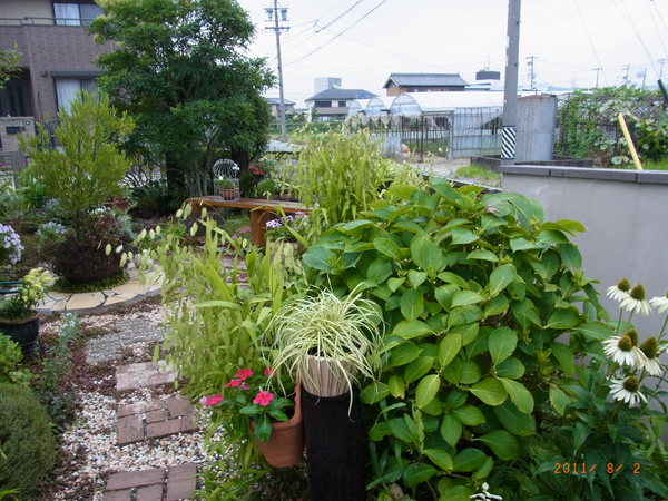 b0194267_21242378.jpg