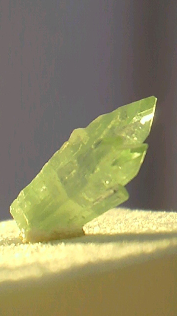 f0214568_20142348.jpg