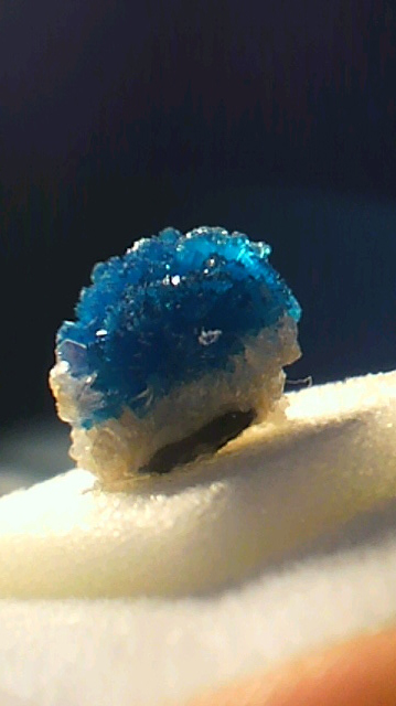 f0214568_2014725.jpg