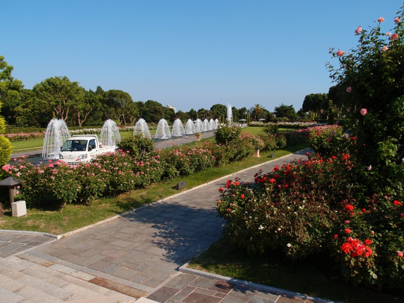 e0174074_663167.jpg