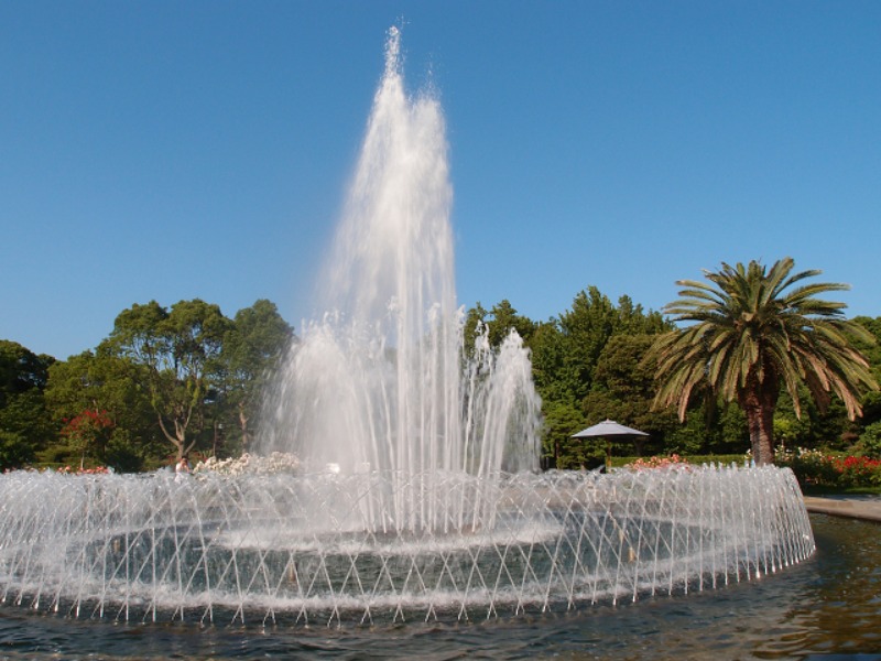 e0174074_66797.jpg