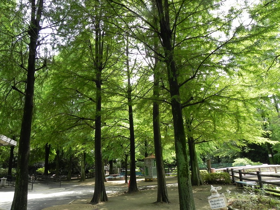 c0187781_21173.jpg
