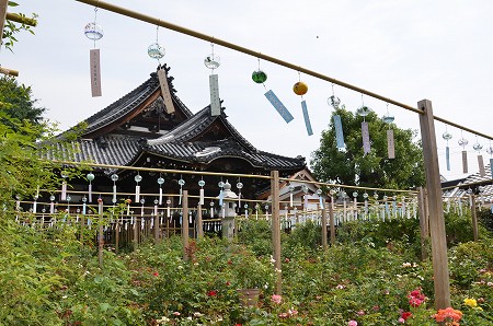 c0229483_064986.jpg