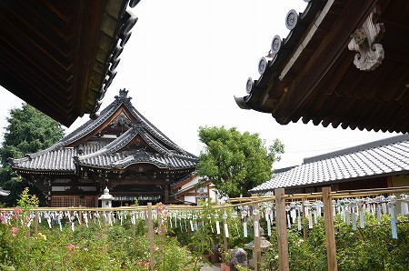 c0229483_0715.jpg