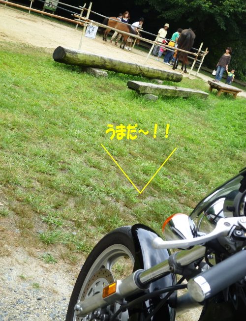 d0179983_23175027.jpg