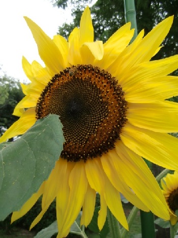 b0207284_13435145.jpg