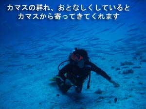 夏休みも再会です♪_f0144385_23143951.jpg