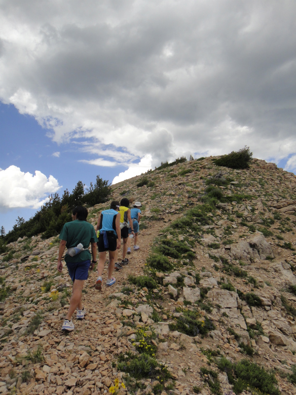 2011/07/29 アメリカ・トリップ Wasatch National Forest Day.9_b0220886_0474.jpg