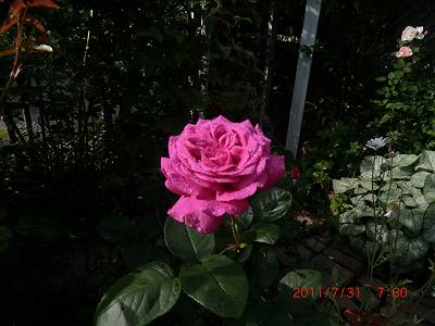 c0078586_1602558.jpg