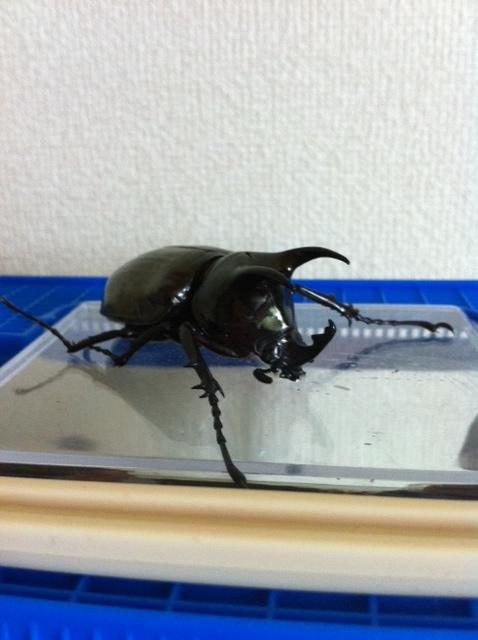 おかわりください!!_f0236990_2326318.jpg