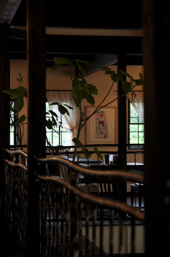 d0021491_0173283.jpg