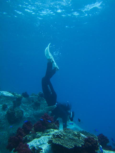 e0064291_17575537.jpg