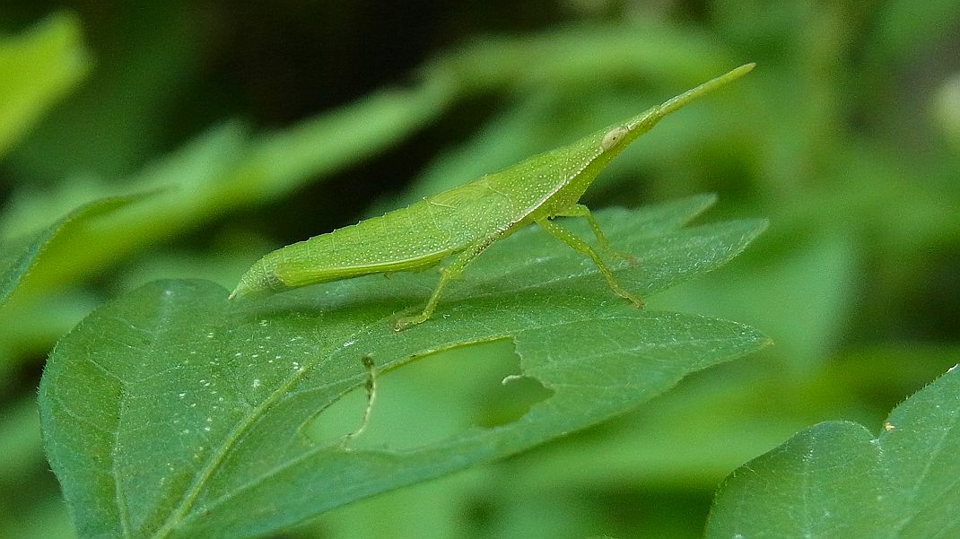 a0152692_1745652.jpg