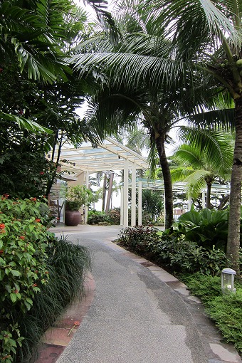 e0160595_1202872.jpg