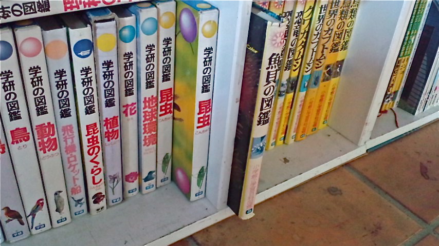 小学館の学習百科図鑑 鳥類の図鑑 カスケディアン 小学館の学習百科図鑑 鳥類の図鑑 カスケディアン