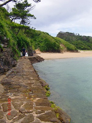 d0141800_55082.jpg