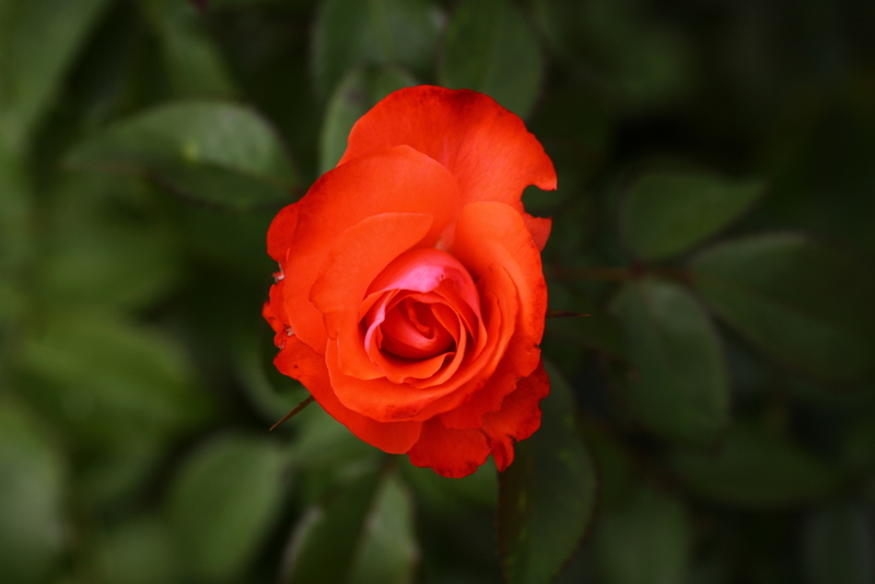 d0248502_7333251.jpg