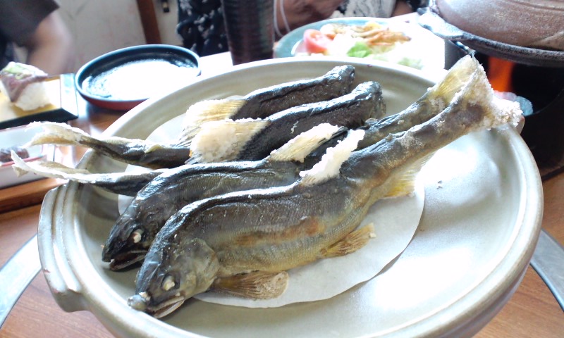 d0093903_1144377.jpg