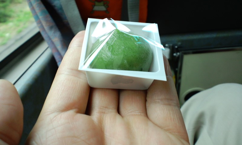 d0093903_125310.jpg