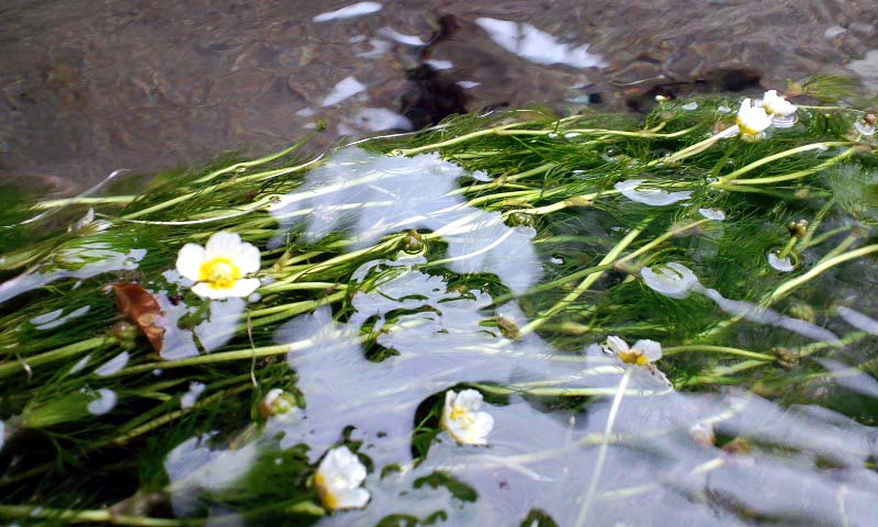 d0093903_213235.jpg