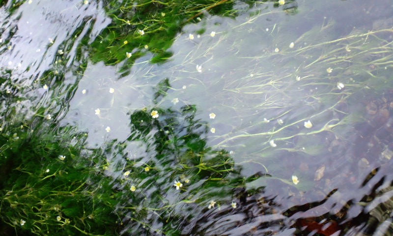d0093903_213482.jpg
