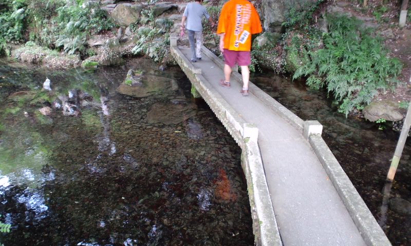 d0093903_215068.jpg