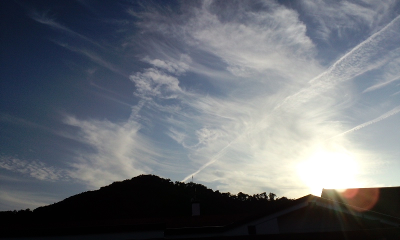 d0093903_2341691.jpg