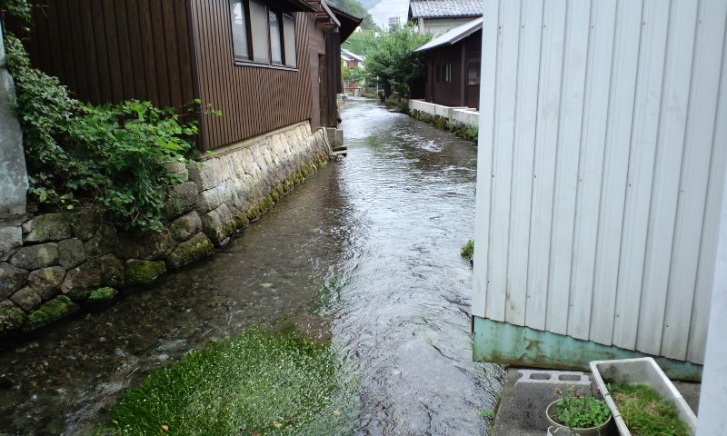 d0093903_234634.jpg