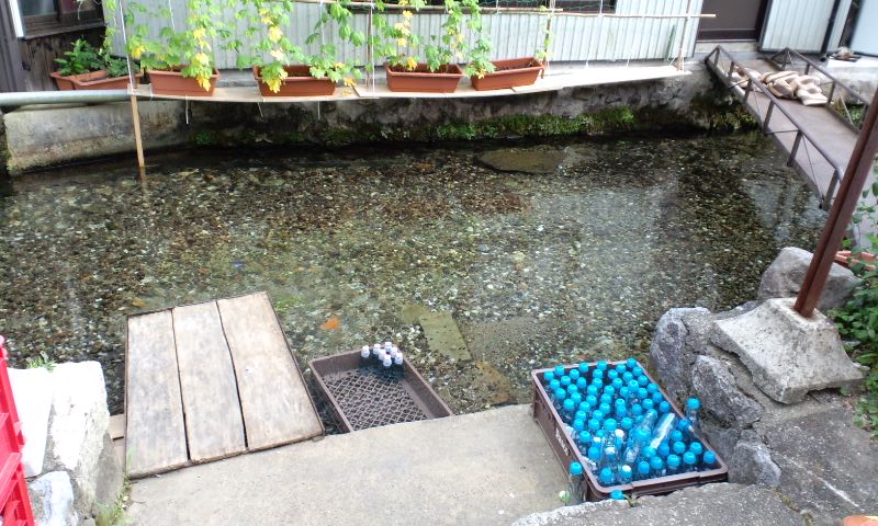 d0093903_273071.jpg