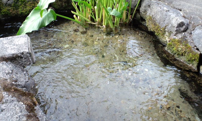 d0093903_27879.jpg