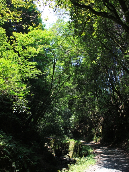 c0228404_4115999.jpg